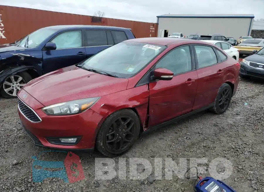 1FADP3F29GL266817 Photo# 1