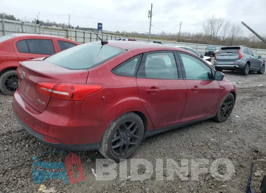 1FADP3F29GL266817 Photo# 3