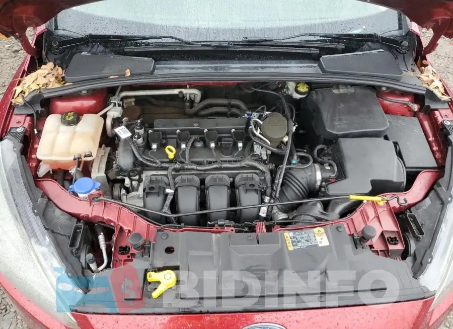 1FADP3F29GL266817 Photo# 11