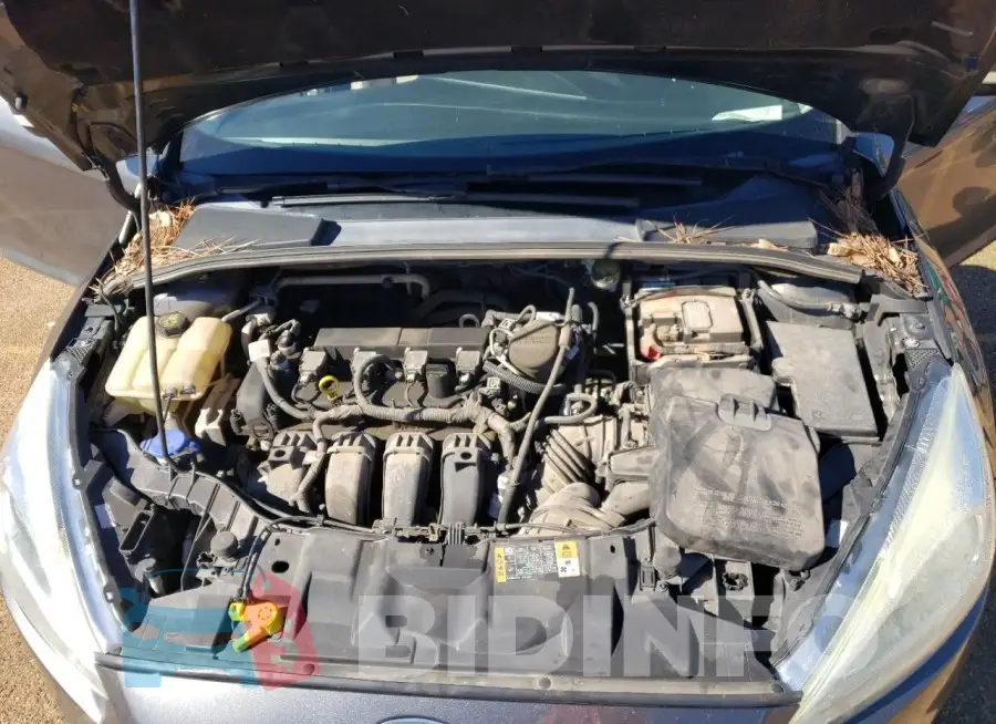 1FADP3N29GL258024 Photo# 11