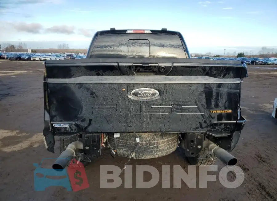 1FTEW1E88PFB86743 Photo# 6