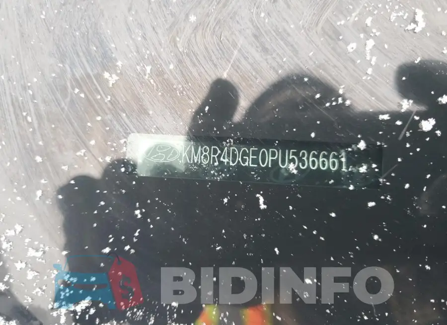 KM8R4DGE0PU536661 Photo# 14