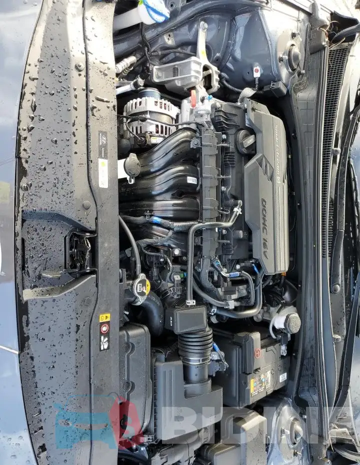 KMHLM4DG6RU640540 Photo# 11