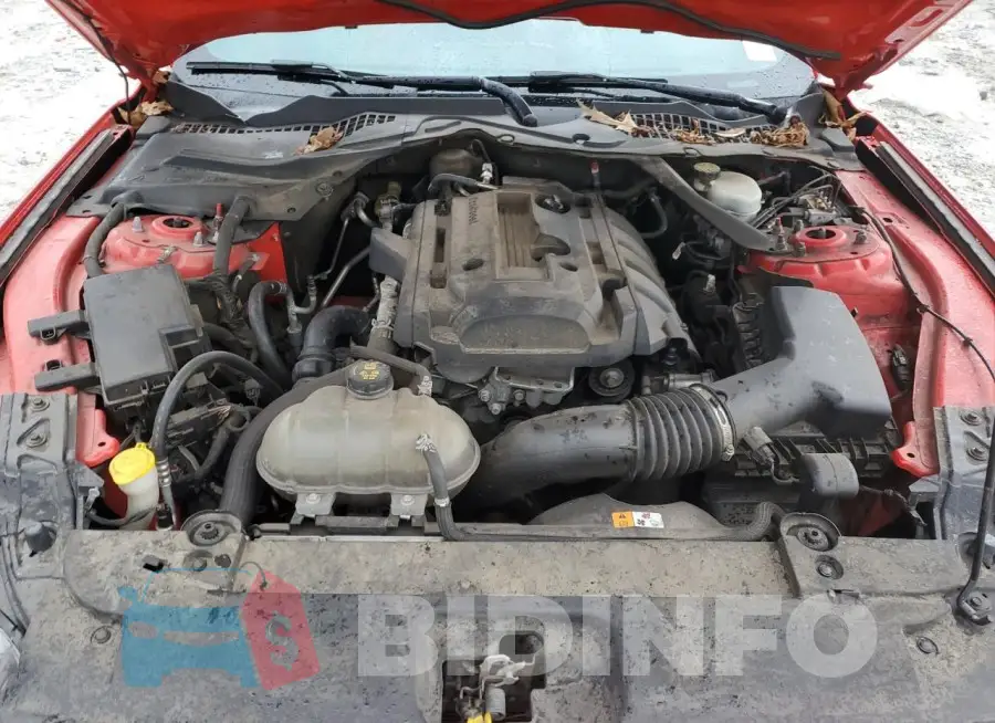 1FATP8UH6H5217841 Photo# 11
