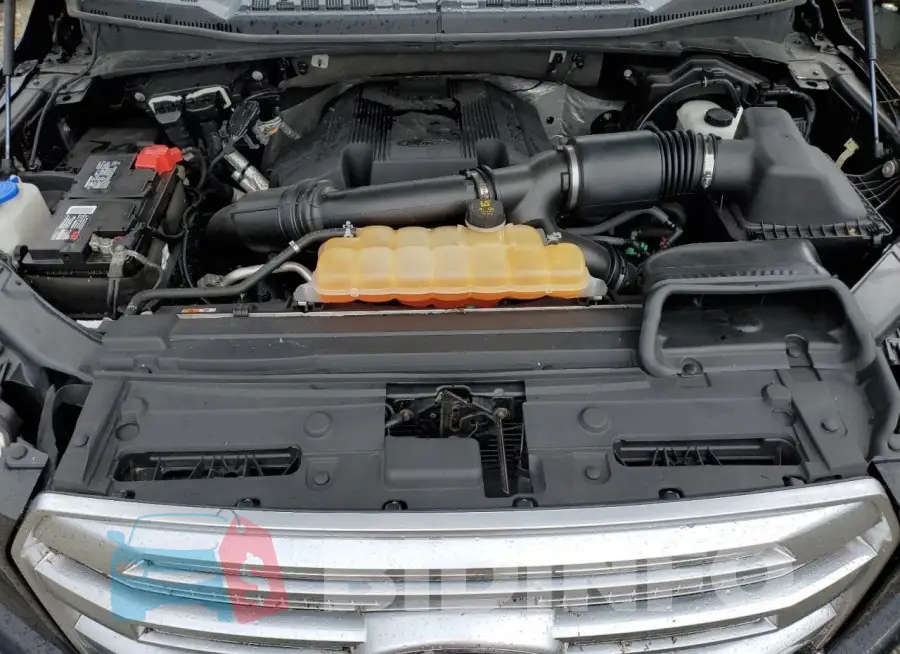 1FTEW1EG5HFB81444 Photo# 11