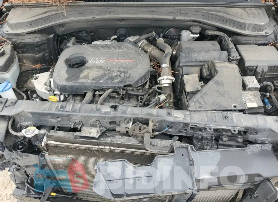 5NMS53AA3KH119523 Photo# 11