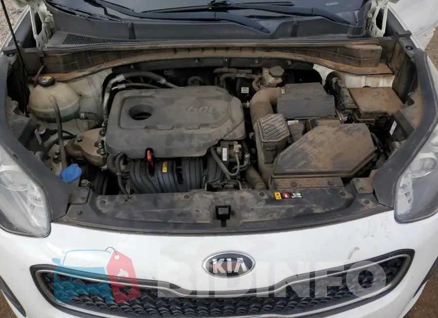 KNDPM3ACXH7142839 Photo# 12