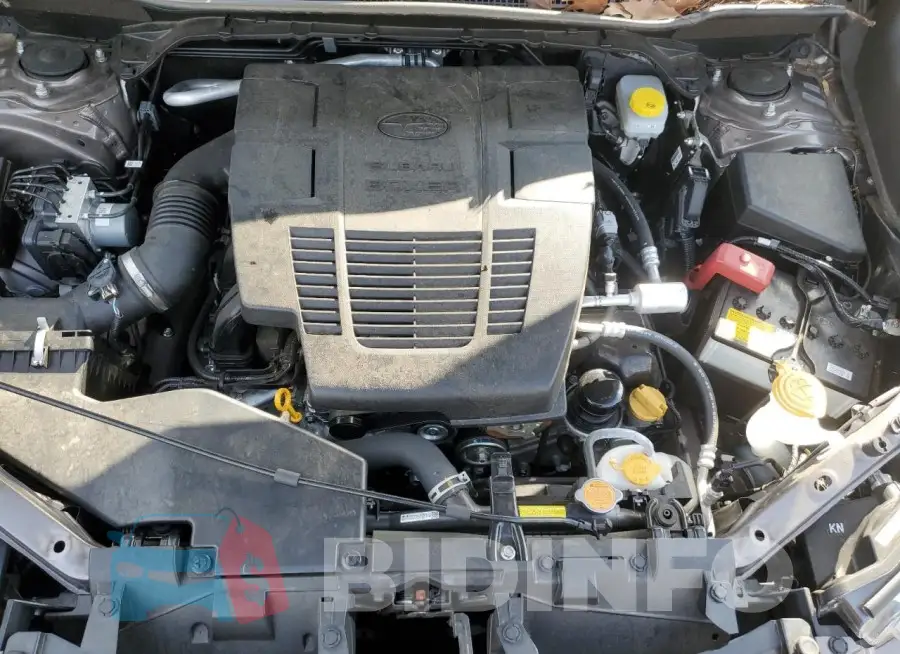 JF2SKAPC8NH414405 Photo# 12