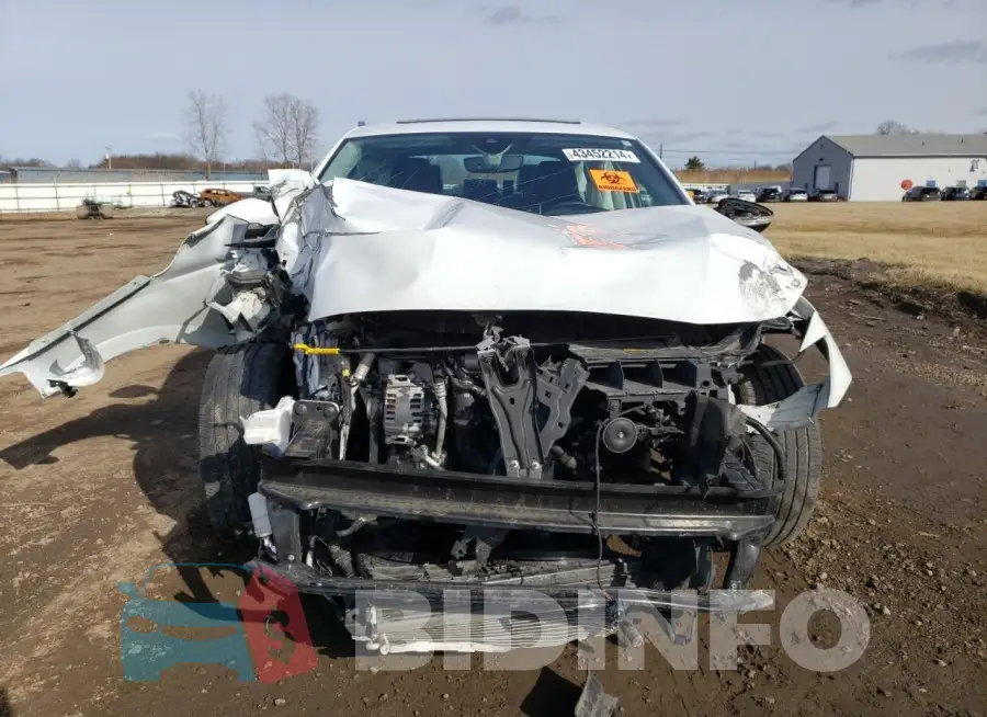 1VWSA7A31MC018516 Photo# 5
