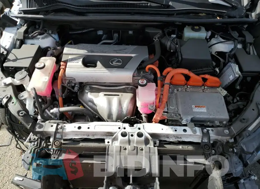 JTJGJRDZ4M5014904 Photo# 12