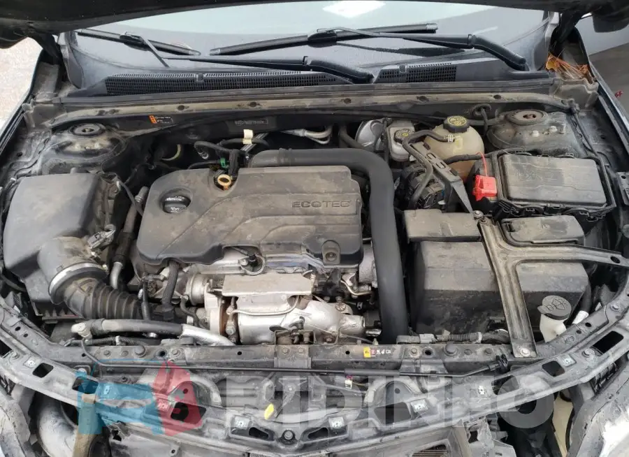 1G1ZD5ST7JF185722 Photo# 11