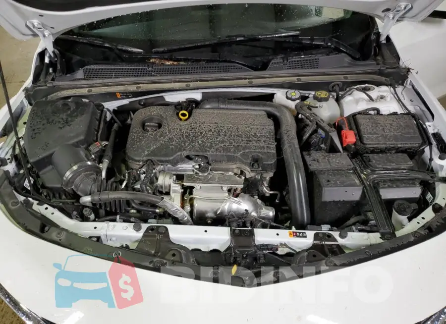 1G1ZD5ST8PF246522 Photo# 11