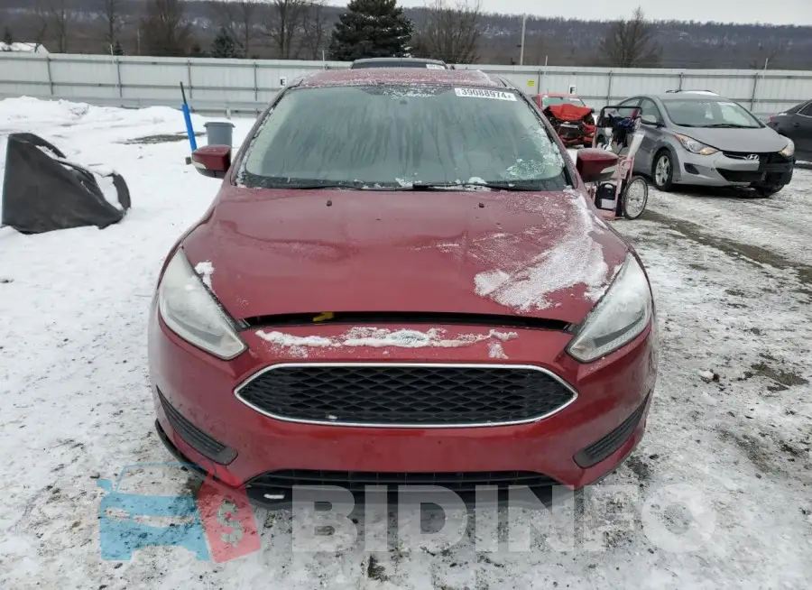 1FADP3F21GL240728 Photo# 5