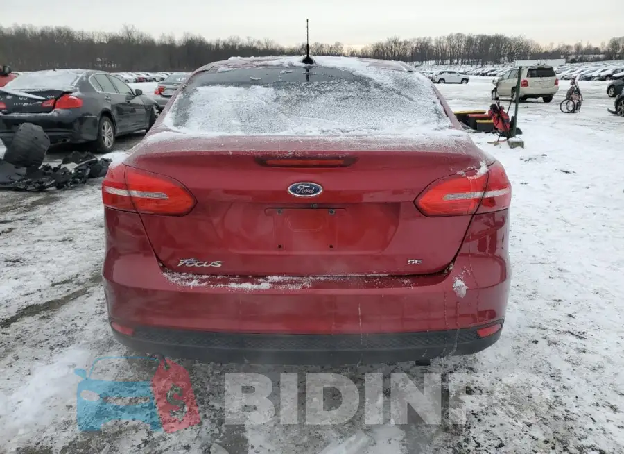 1FADP3F21GL240728 Photo# 6