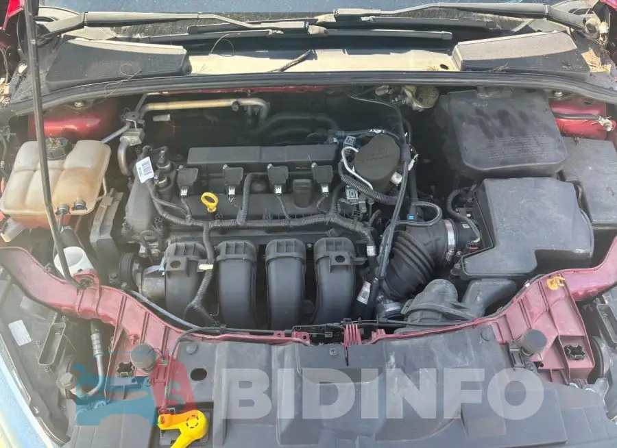 1FADP3F25FL345092 Photo# 7