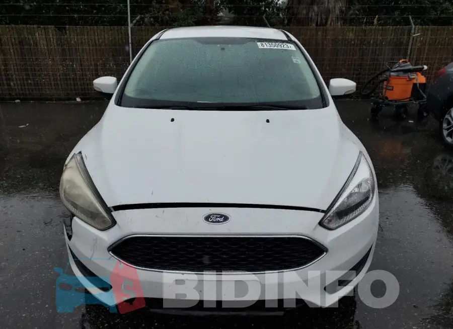 1FADP3F29HL237934 Photo# 5