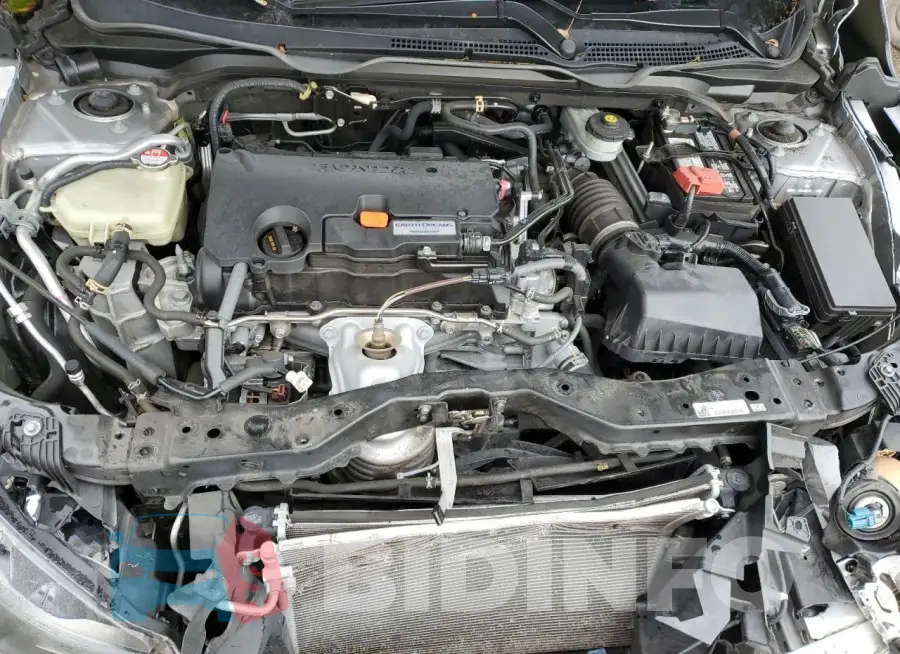 19XFC2F53GE212988 Photo# 11