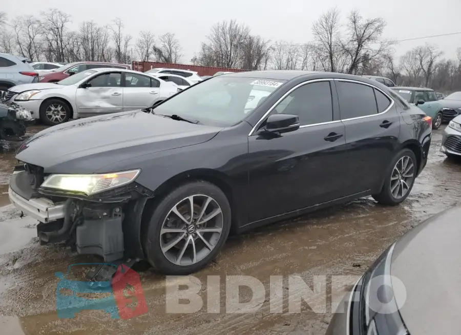 19UUB2F33FA002144 Photo# 1