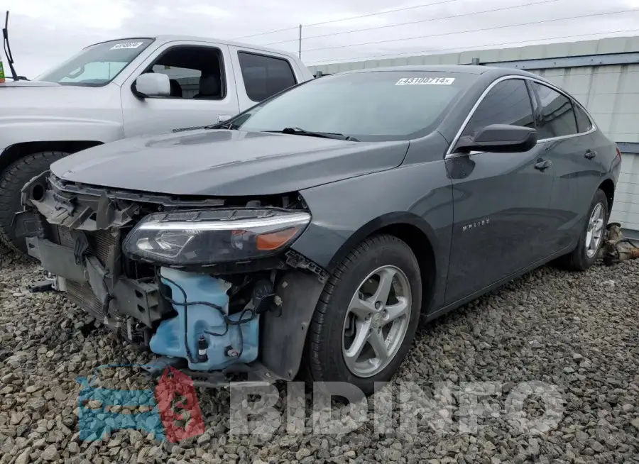 1G1ZB5ST5JF146813 Photo# 1