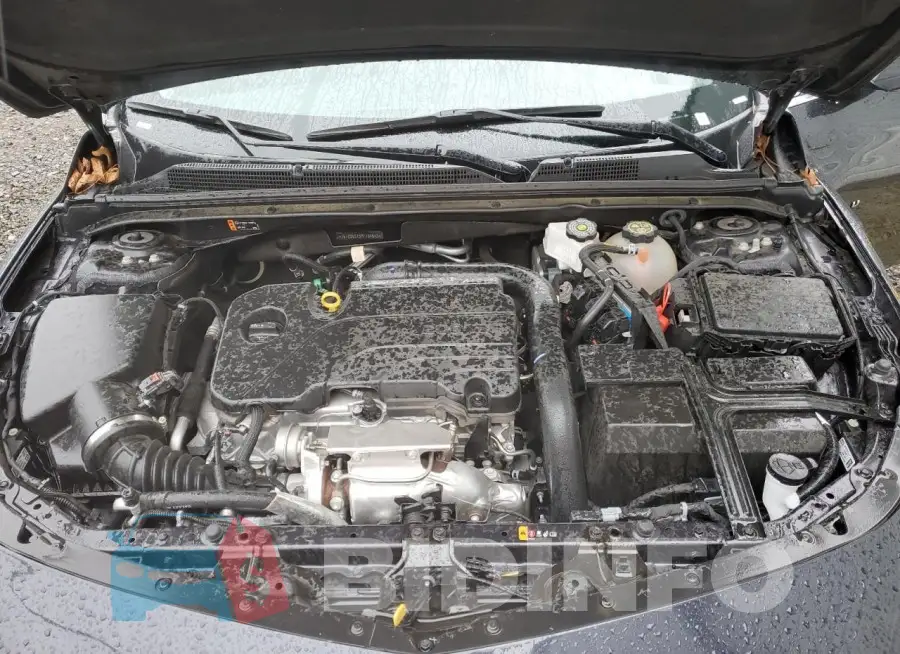 1G1ZD5ST5PF184643 Photo# 11