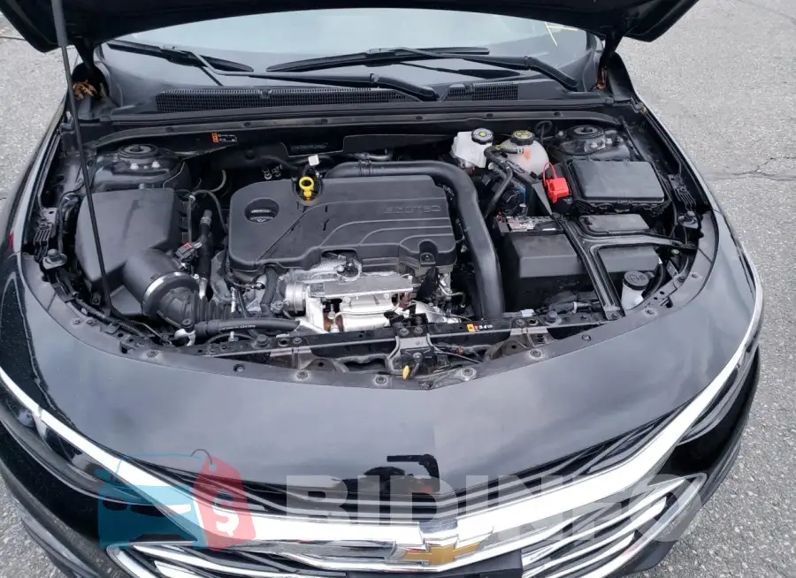 1G1ZD5ST5PF229922 Photo# 11
