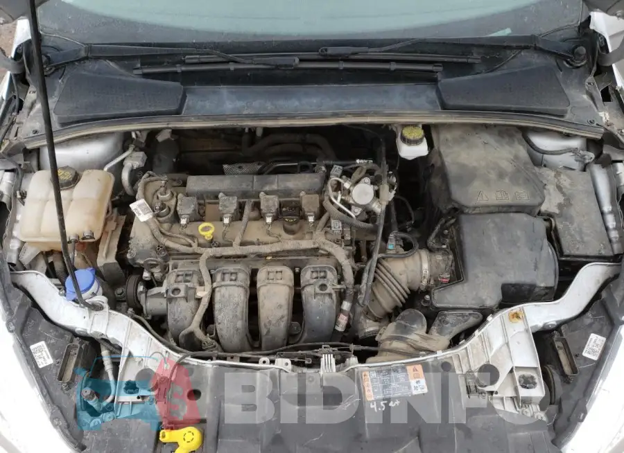 1FADP3F23JL259689 Photo# 11