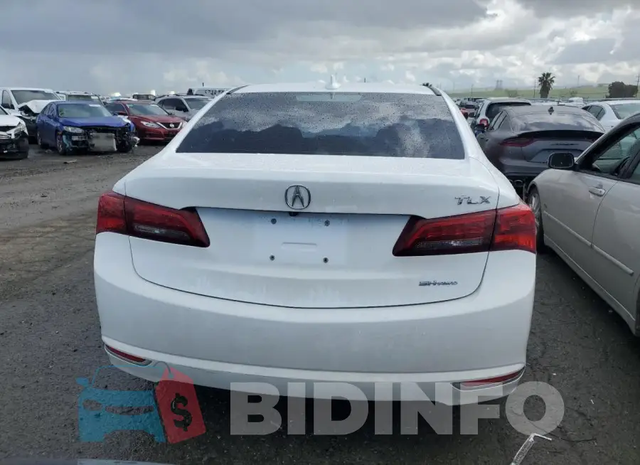 19UUB3F51FA001436 Photo# 6
