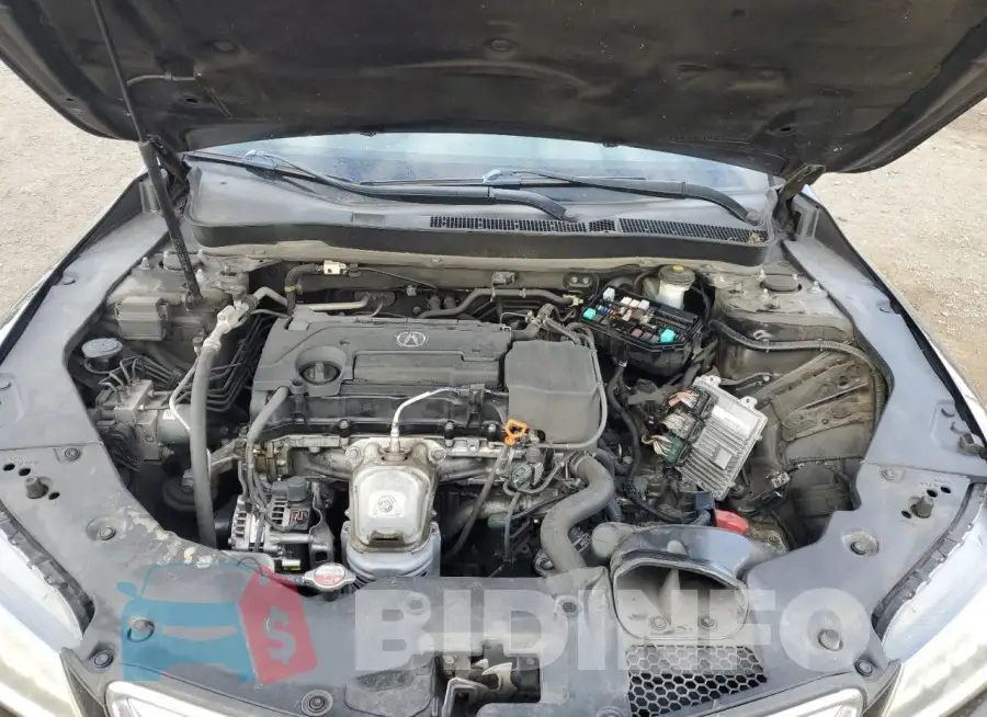 19UUB1F56GA007531 Photo# 11