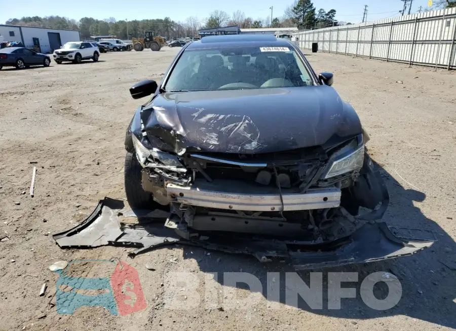 19UUB2F51FA019557 Photo# 5