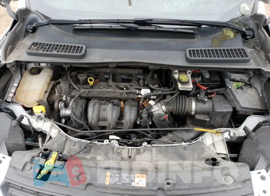 1FMCU0F76GUA61860 Photo# 12