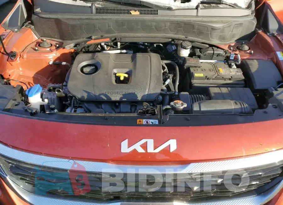 KNDEUCAA6P7461420 Photo# 11