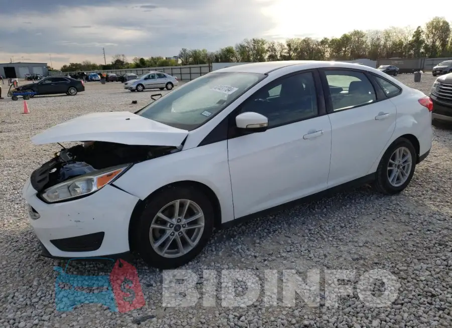 1FADP3F21HL315686 Photo# 1
