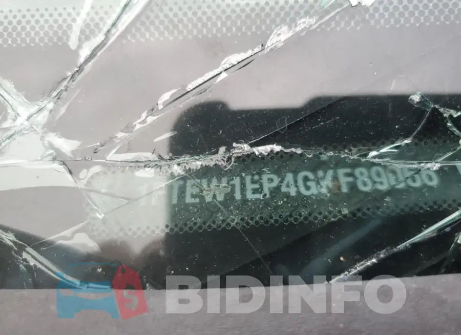 1FTEW1EP4GKF89066 Photo# 12