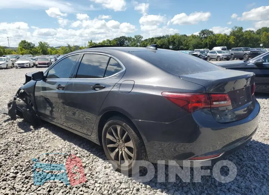 19UUB1F35FA010367 Photo# 2
