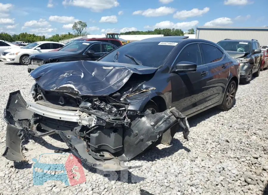 19UUB1F35FA010367 Photo# 1