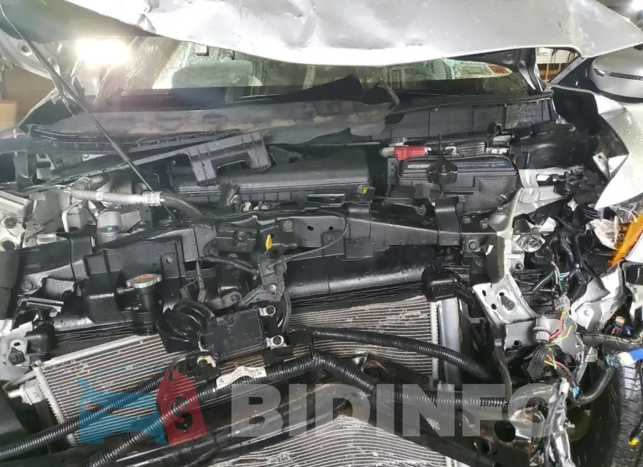 KNMAT2MV8KP553065 Photo# 12