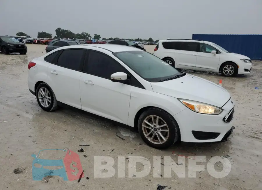 1FADP3F22GL291185 Photo# 4