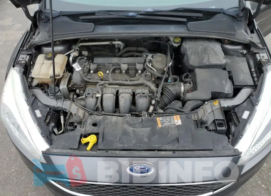 1FADP3F23FL370198 Photo# 11