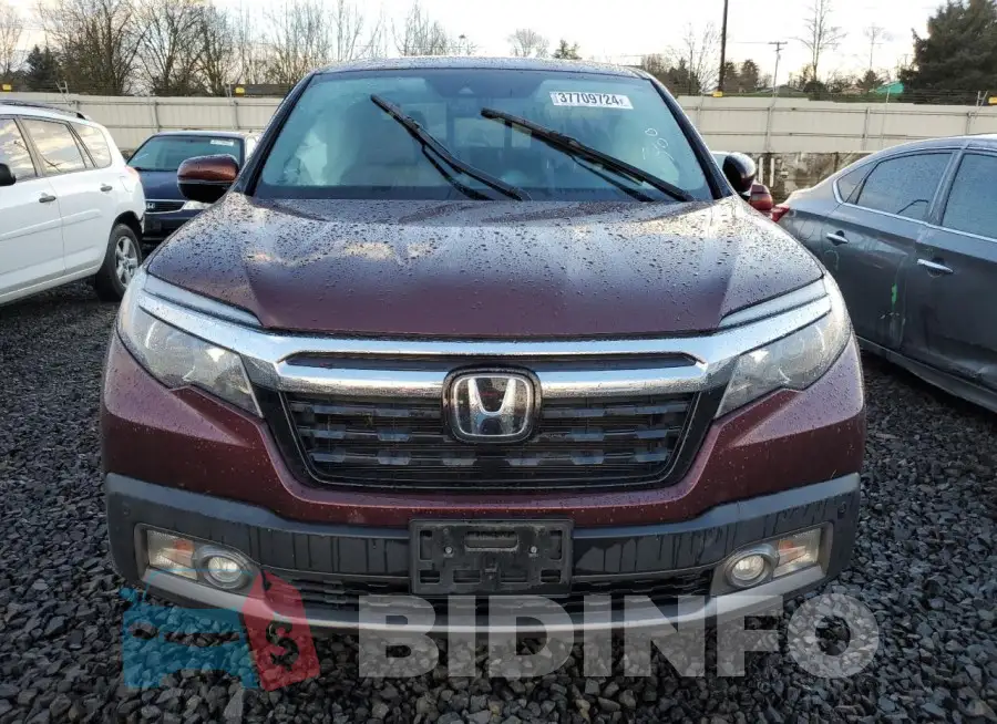 5FPYK3F74LB025113 Photo# 5