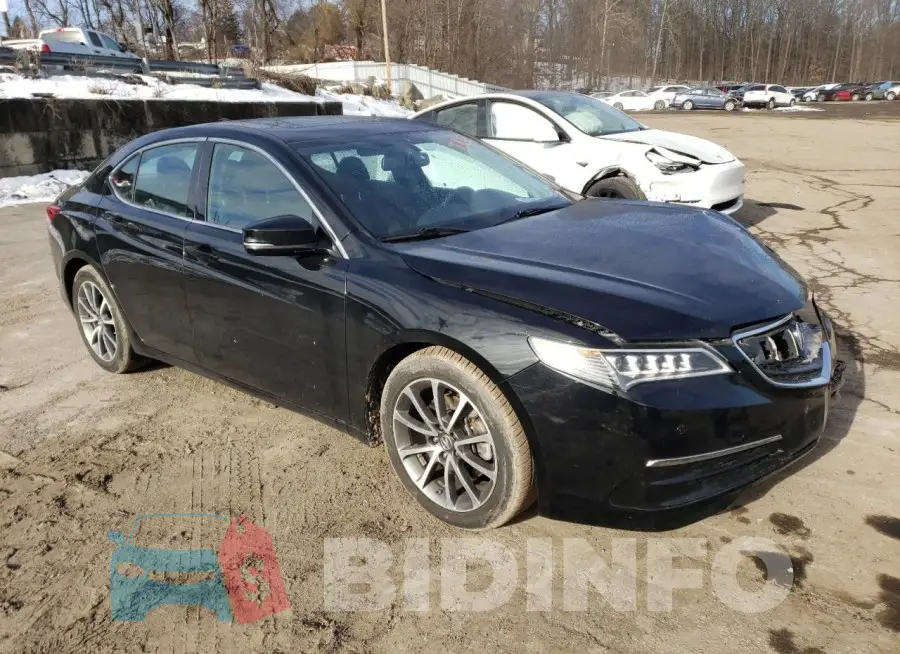 19UUB2F35GA009663 Photo# 4
