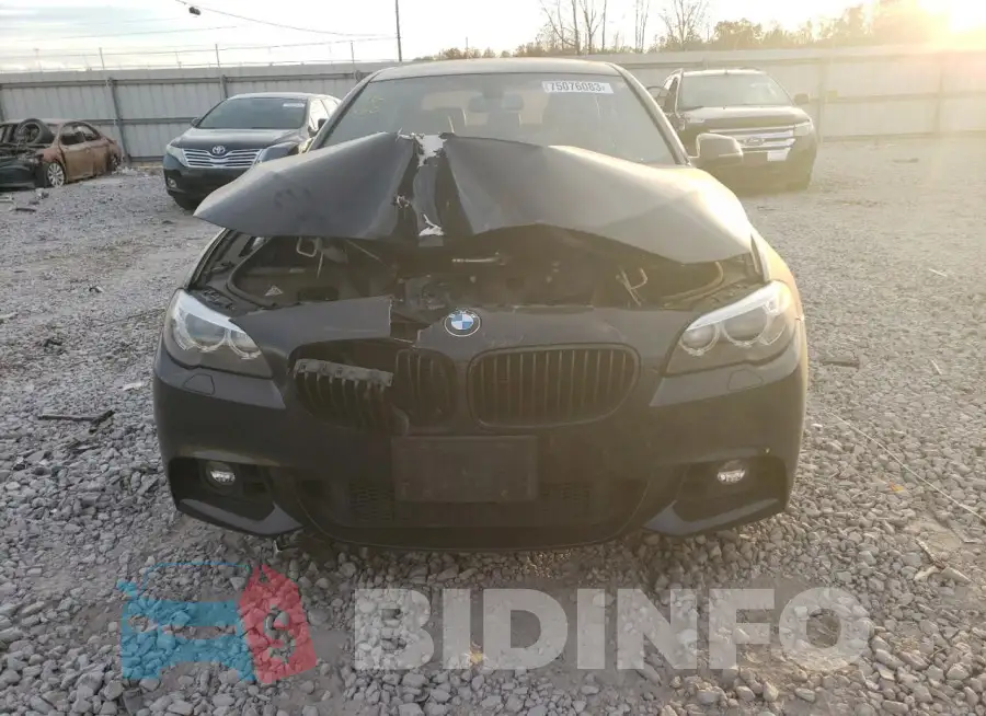 WBA5B1C58FD921877 Photo# 5