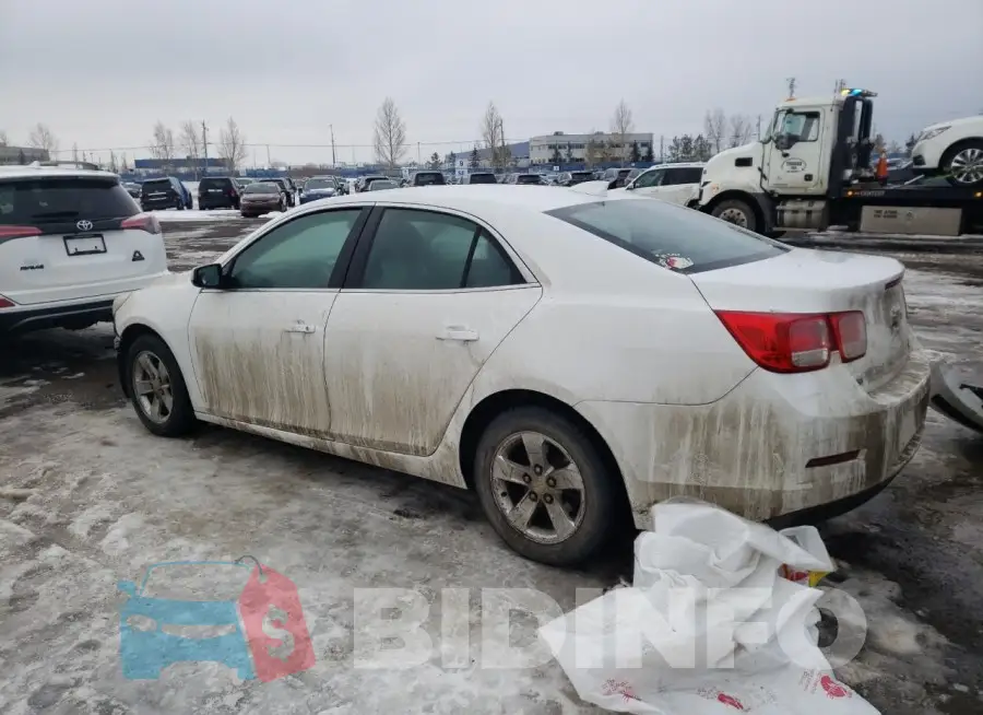 1G11C5SL2FF256963 Photo# 2