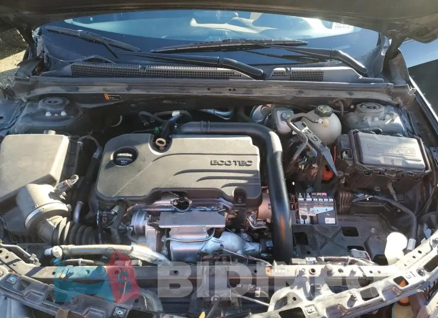 1G1ZD5ST2JF183201 Photo# 11