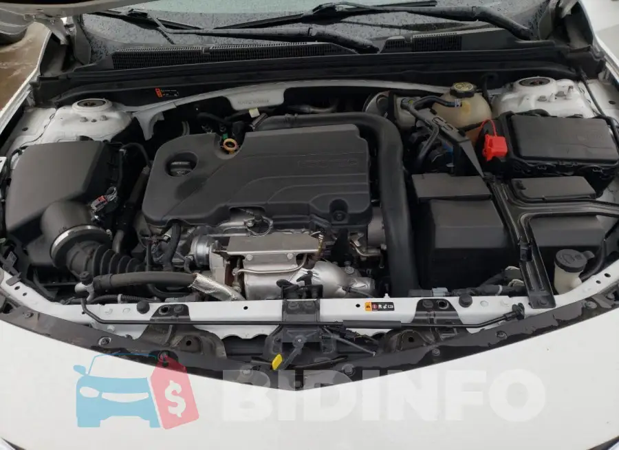 1G1ZD5ST3KF208897 Photo# 11