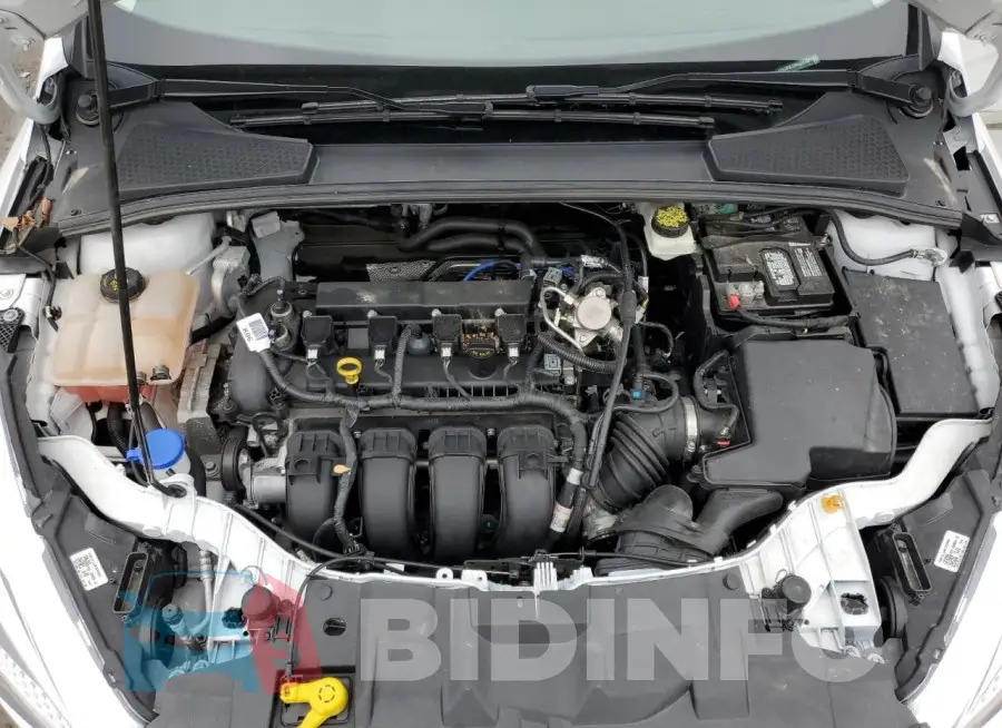 1FADP3F23HL212432 Photo# 11