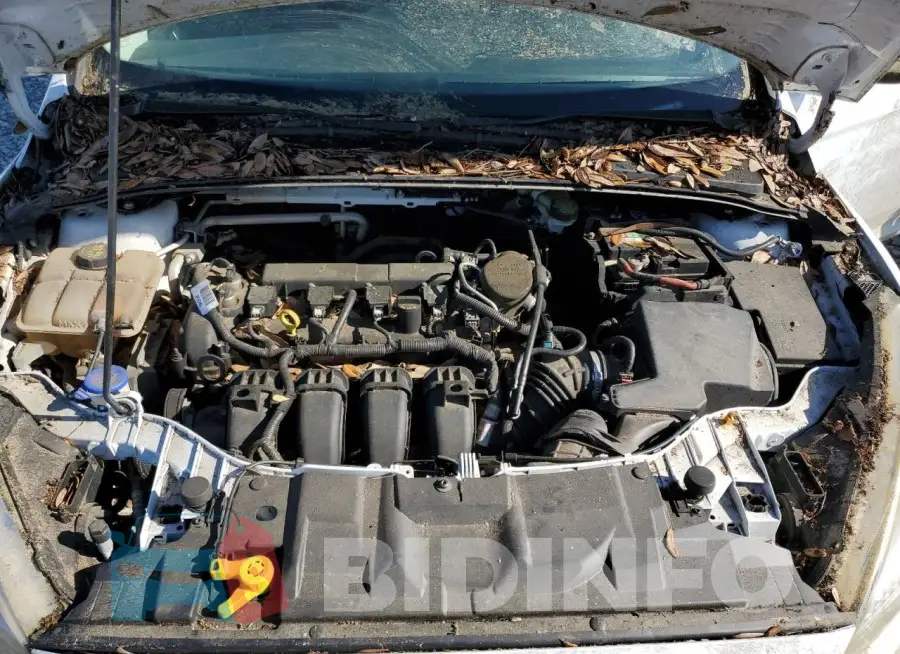 1FADP3F27FL263591 Photo# 11