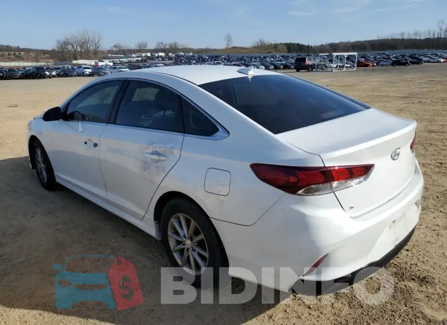 5NPE24AF7KH751077 Photo# 2
