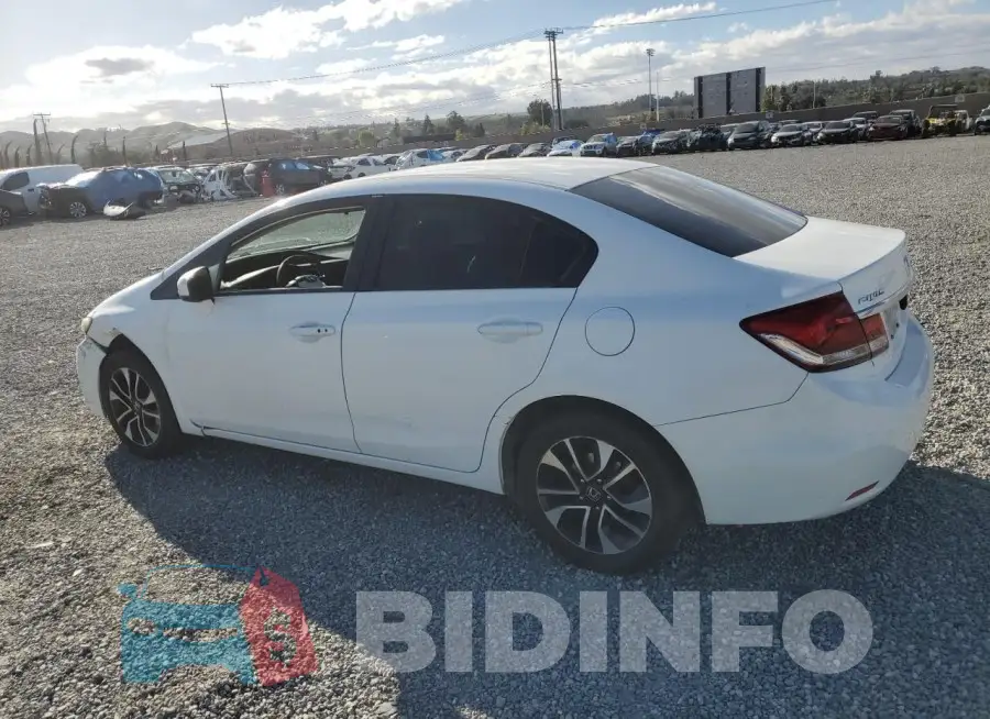 19XFB2F81FE254099 Photo# 2