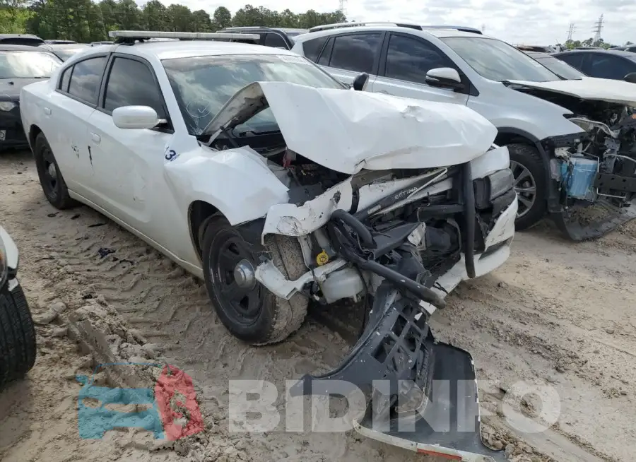 2C3CDXAT0KH568349 Photo# 4