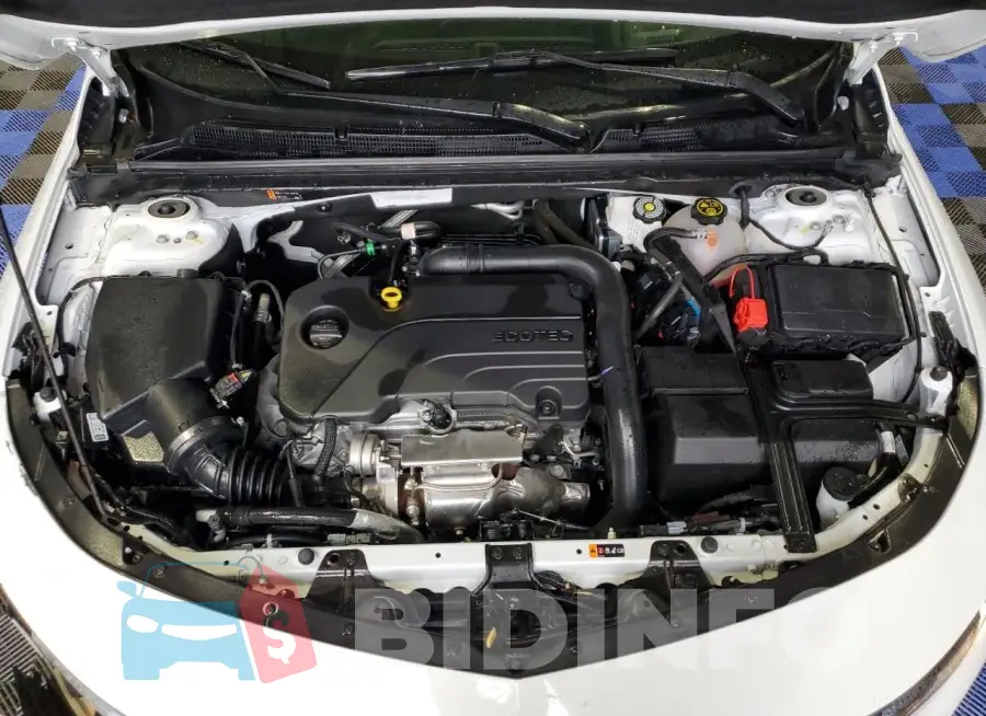 1G1ZD5ST8PF183907 Photo# 11